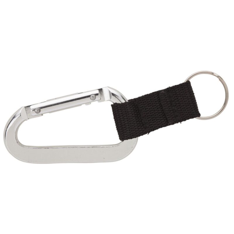 Alta Carabiner Keyring - 4