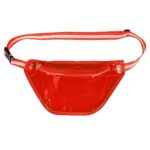 Ann Arbor Transparent Waist Pack - 2