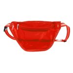 Ann Arbor Transparent Waist Pack - 8