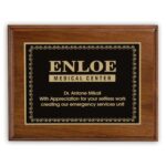 Ashford Small Plaque Award - 2