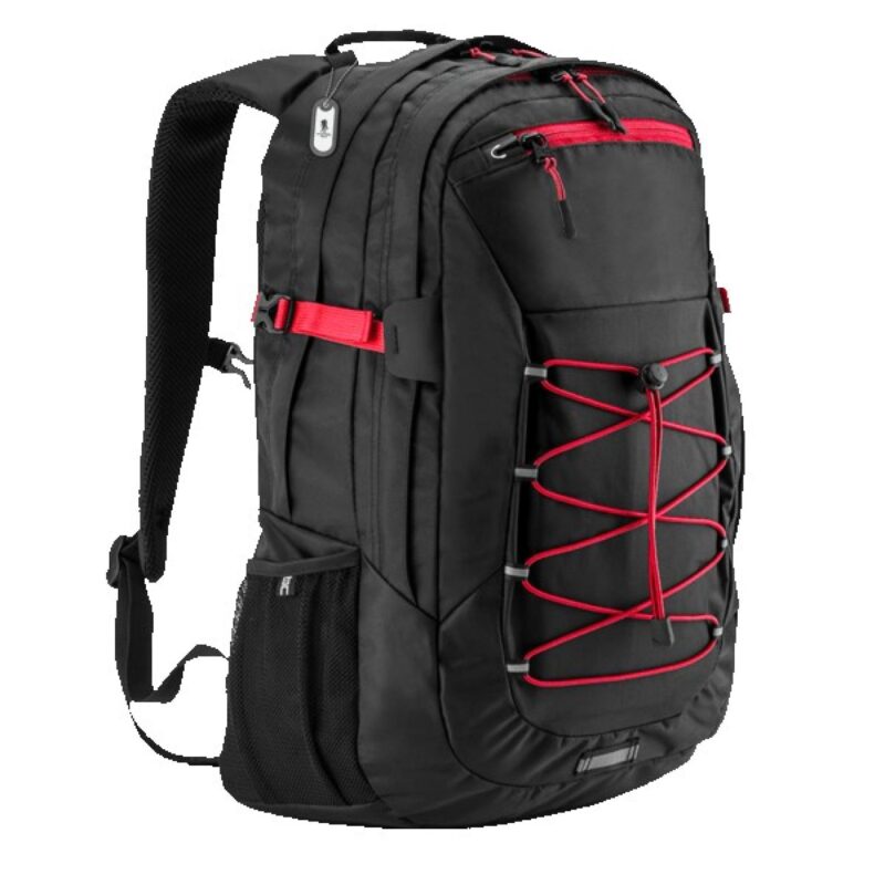 Basecamp Globetrotter Laptop Backpack - 1