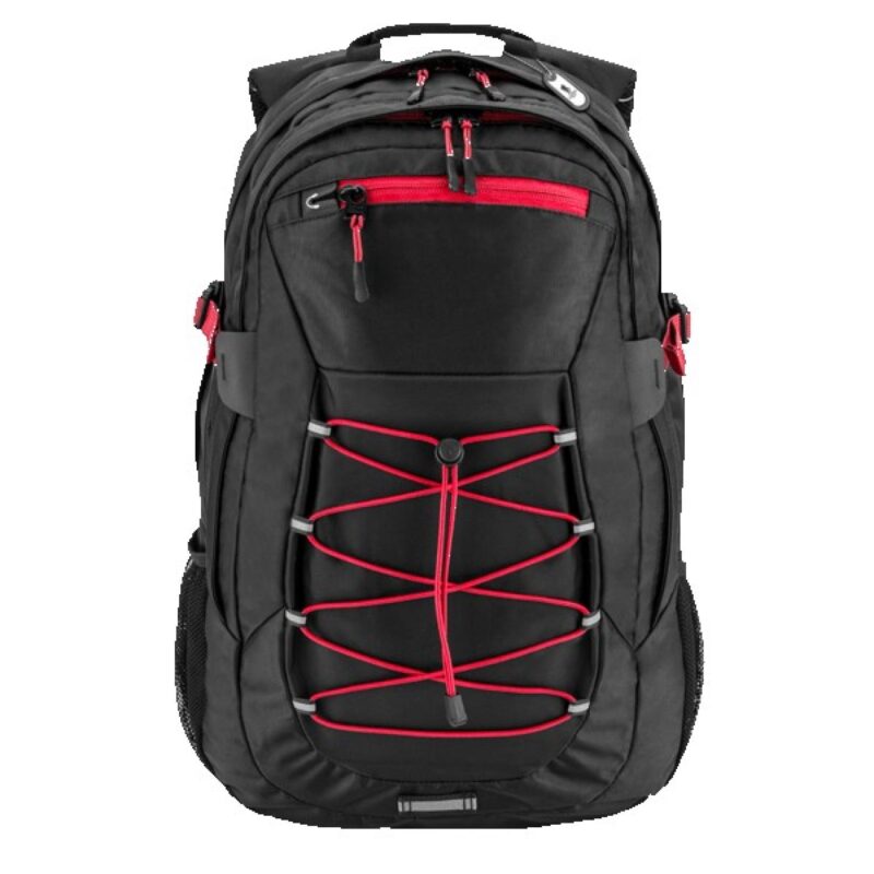 Basecamp Globetrotter Laptop Backpack - 2