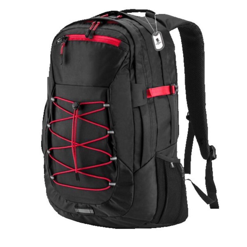 Basecamp Globetrotter Laptop Backpack - 3