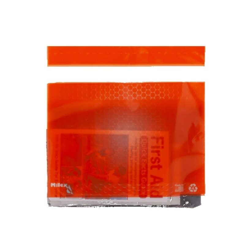 Basic First Aid Kit in a Resealable Plastic Bag - 4