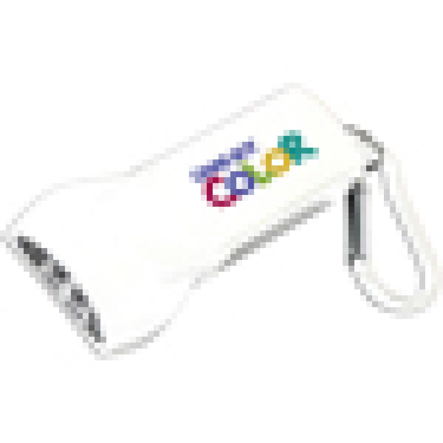 "Beamer" 4 LED Key holder Key light w/Carabiners Clip (Photo image Full Color) - 5