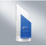 Bergen Cobalt Optically Perfect Award - 2