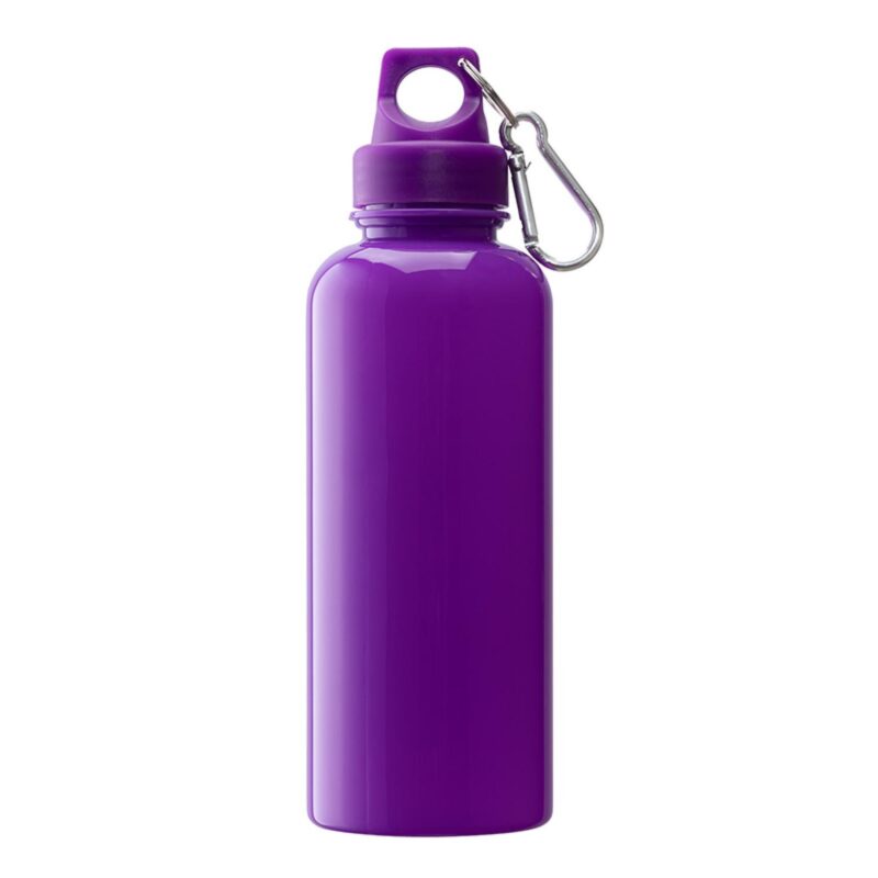 Brio 20 oz. PS Water Bottle w/ Carabiner - 5