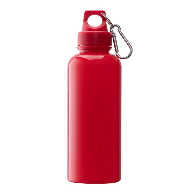 Brio 20 oz. PS Water Bottle w/ Carabiner - 6