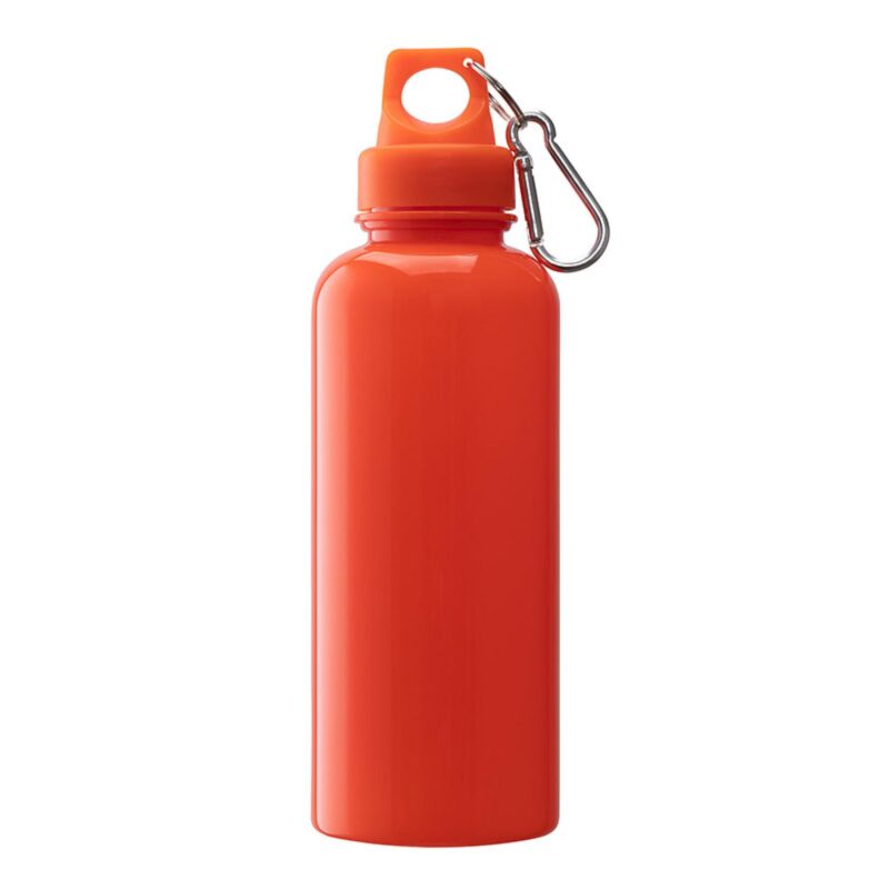 Brio 20 oz. PS Water Bottle w/ Carabiner - 7