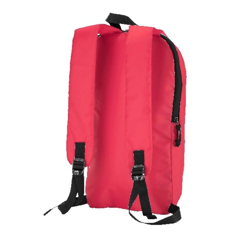 Budget Backpack - 1