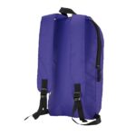 Budget Backpack - 2