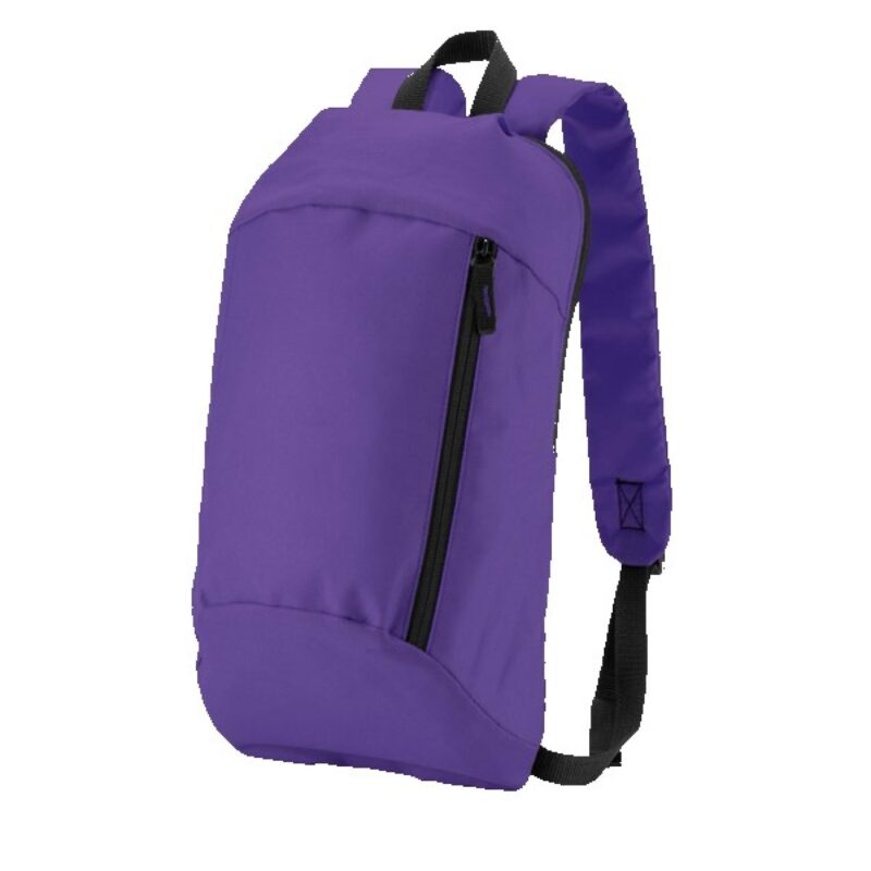 Budget Backpack - 9