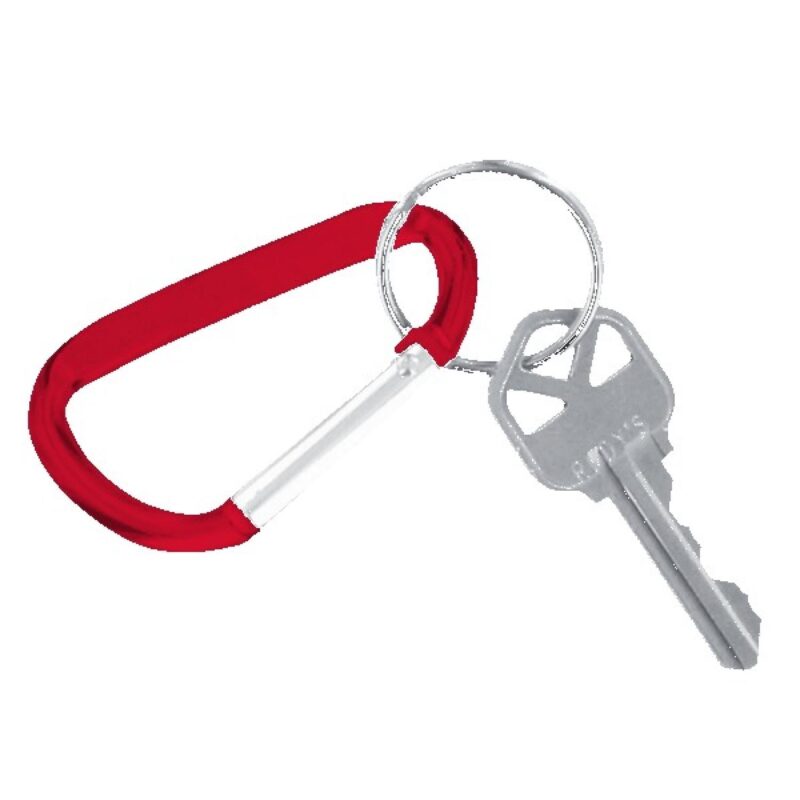 Carabiner Keychain - 1