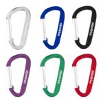 Carabiner Keychain