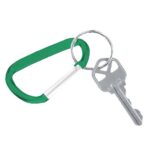 Carabiner Keychain - 3