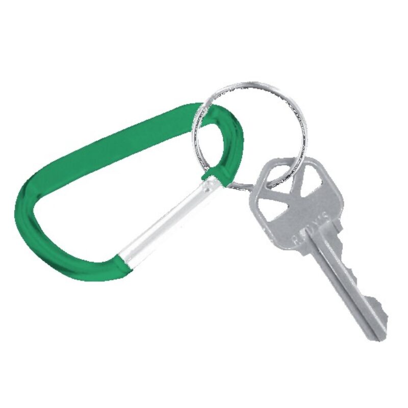 Carabiner Keychain - 3