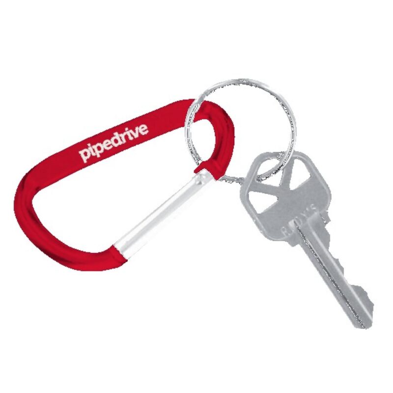 Carabiner Keychain - 7