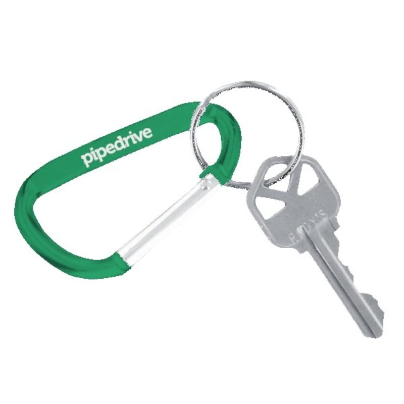 Carabiner Keychain - 9