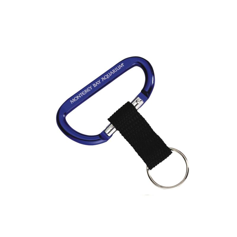 Carabiner with Strap - 3
