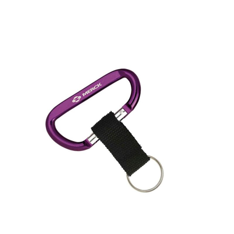 Carabiner with Strap - 4