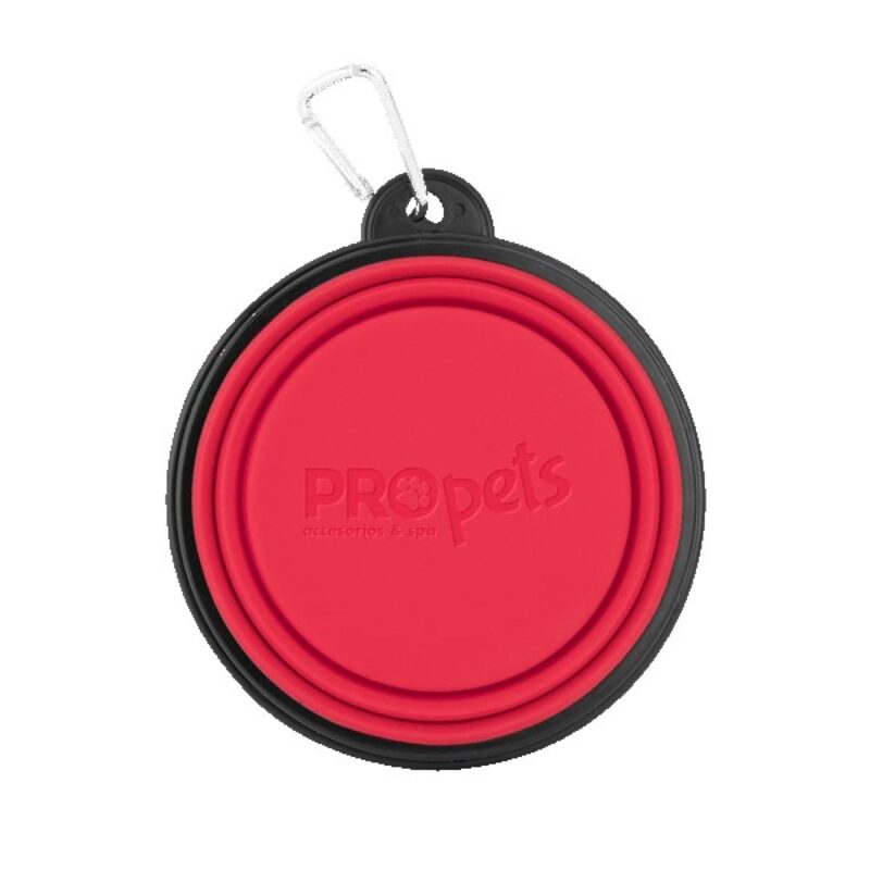 Collapsible Silicone Pet Bowl w/Carabiner - 6