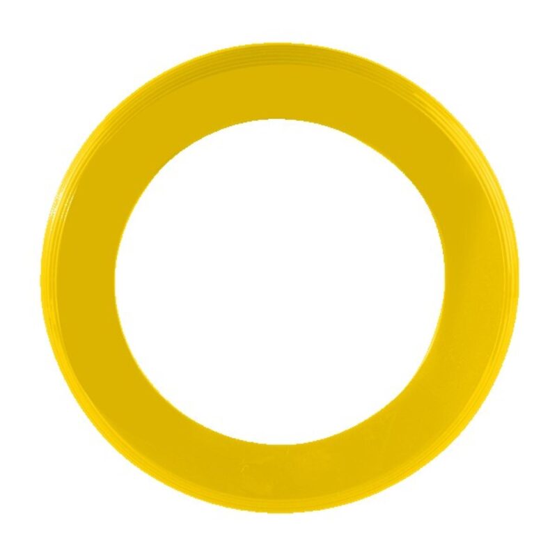 Disc-Y Business Ring Flyer - 1