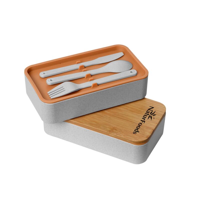 Eco-Friendly Lunch Set - 2