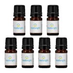 Essential Oil in 5 ml Mini Dropper Bottle