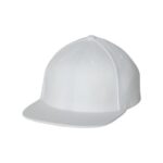 Flexfit 110F One Ten Snapback - 1