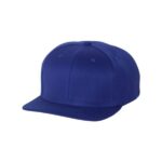 Flexfit 110F One Ten Snapback - 2