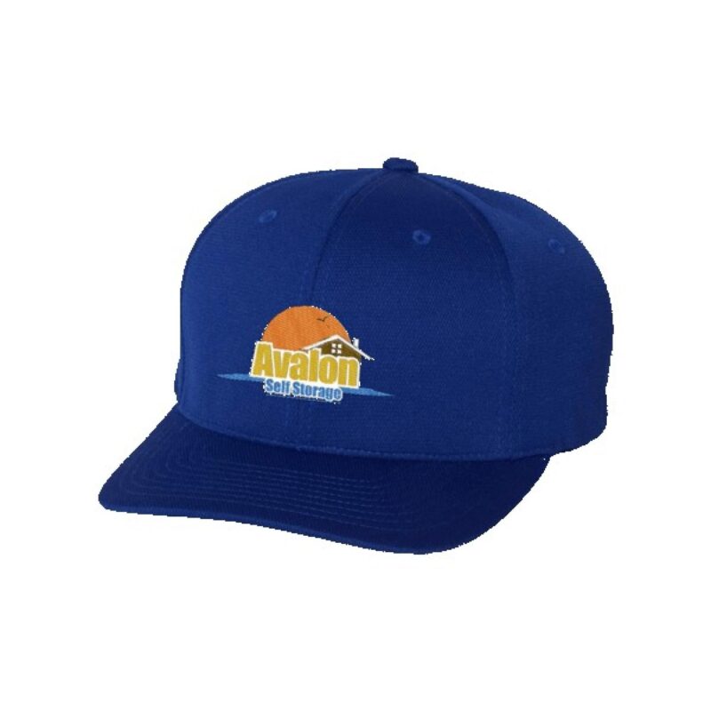 Flexfit 6597 Cool & Dry Sport Cap - 8