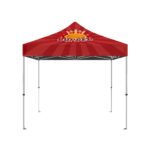 IMPORT 10' x 10' Canopy Package