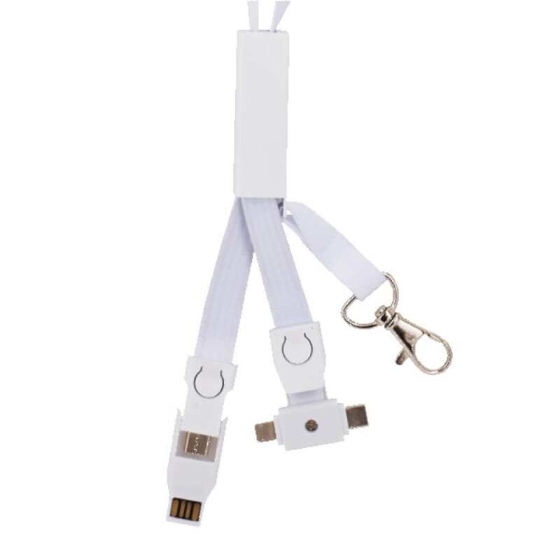 IMPORT 4-in-1 Charging Lanyard - 2