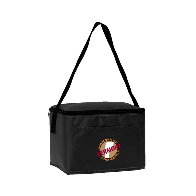 Insulated 6 Pack Cooler - 2