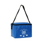 Insulated 6 Pack Cooler - 3