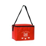 Insulated 6 Pack Cooler - 5