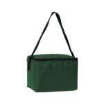 Insulated 6 Pack Cooler - 7