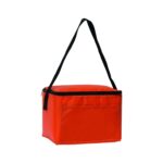 Insulated 6 Pack Cooler - 8
