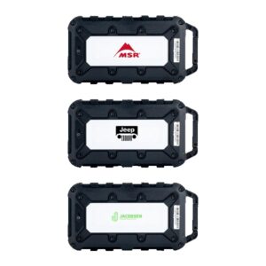 Lion Energy Cub 10000 mAh Powerbank