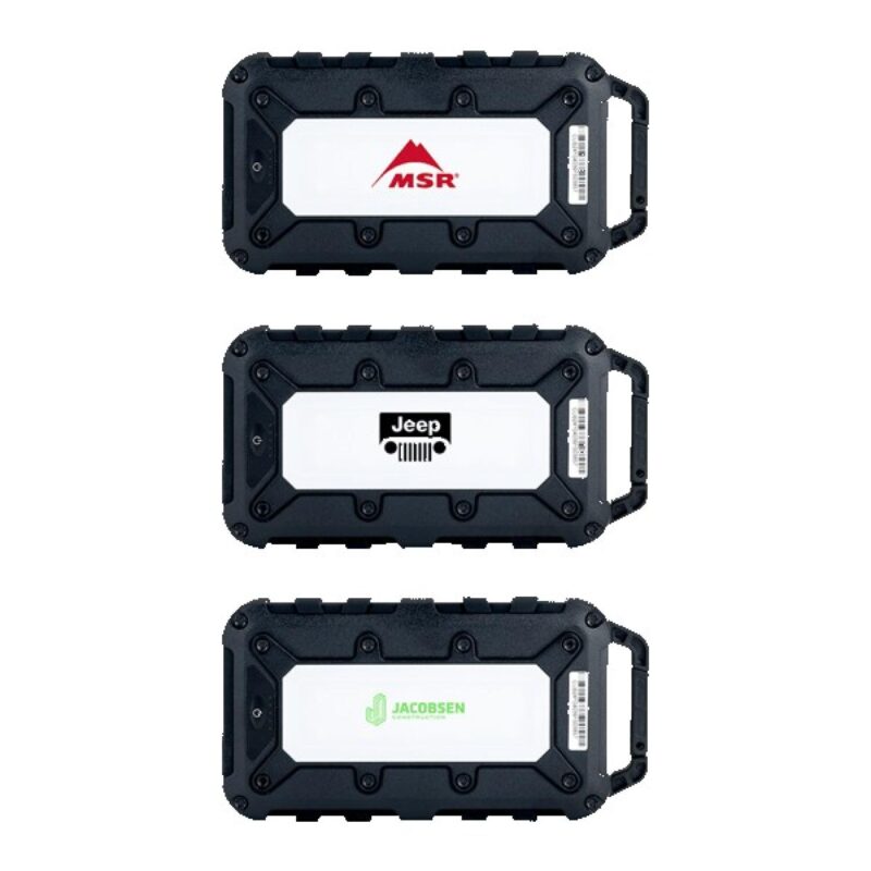 Lion Energy Cub 10000 mAh Powerbank