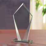 Pierce Award - Large - 1