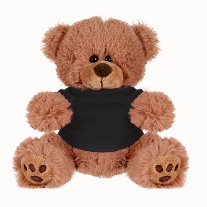 Plush Bear w/ Embroidered Paws and T-Shirt - 1