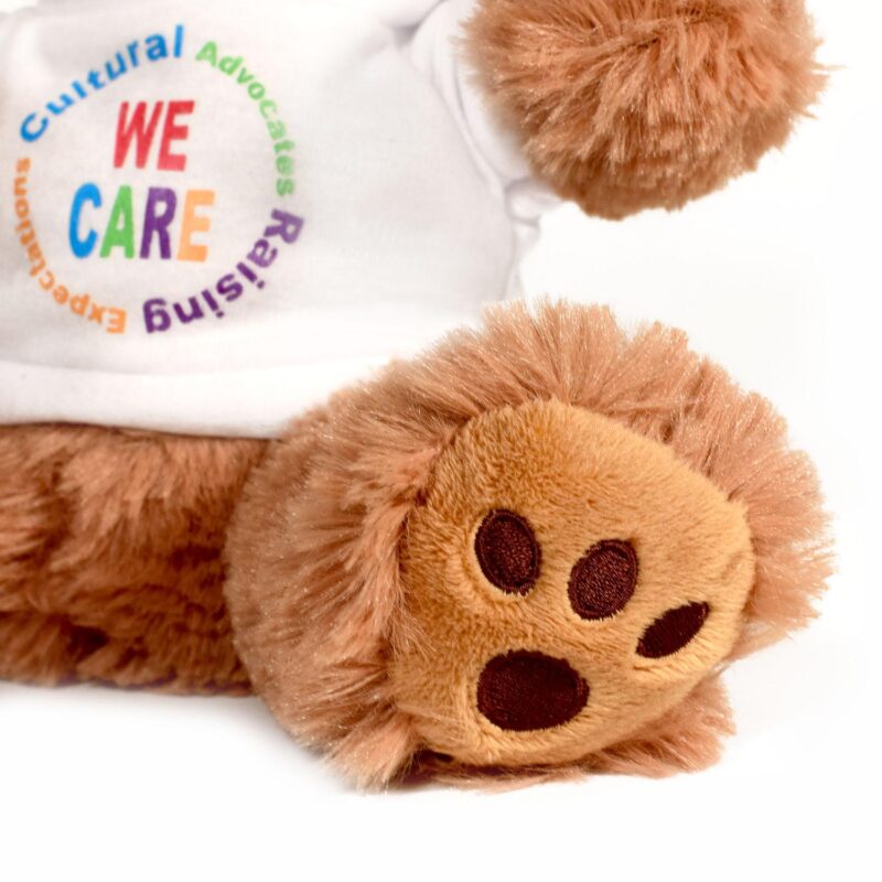 Plush Bear w/ Embroidered Paws and T-Shirt - 3