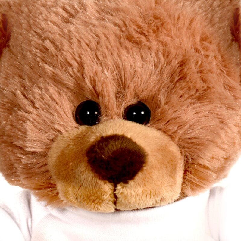 Plush Bear w/ Embroidered Paws and T-Shirt - 4