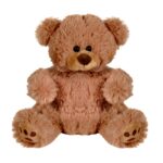 Plush Bear w/ Embroidered Paws and T-Shirt - 9
