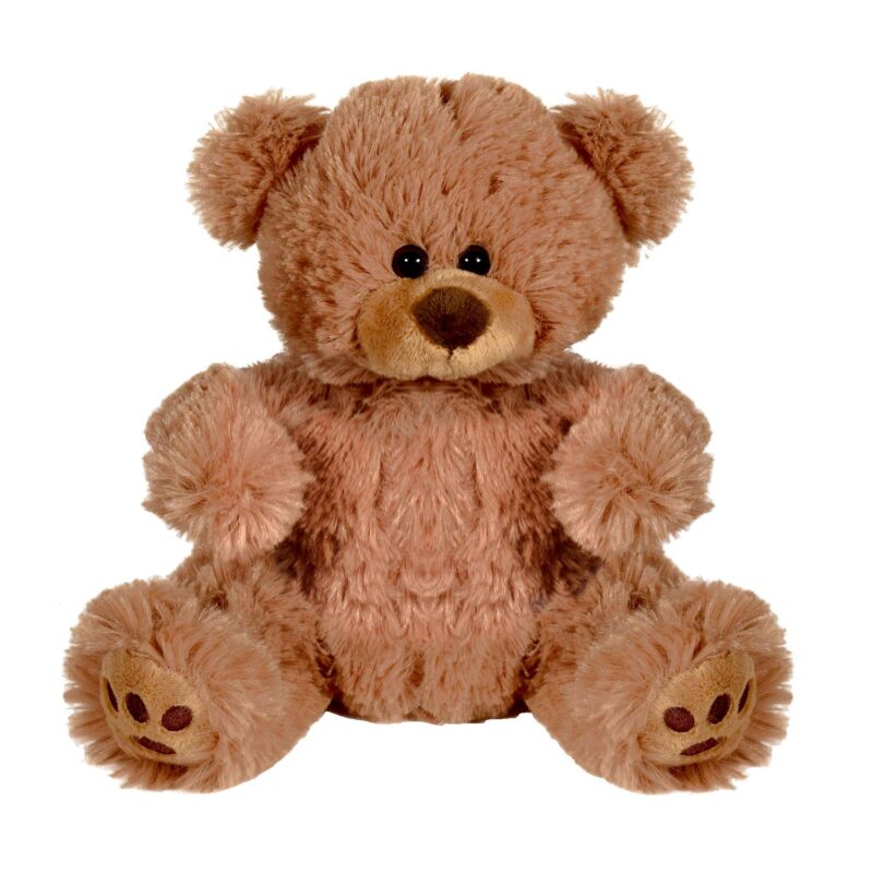 Plush Bear w/ Embroidered Paws and T-Shirt - 9