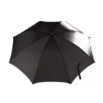 Rain or Shine Light - 1