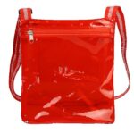 Seattle Clear Crossbody Bag - 7