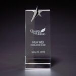 Skyward Star Medium Optically Perfect Award - 2