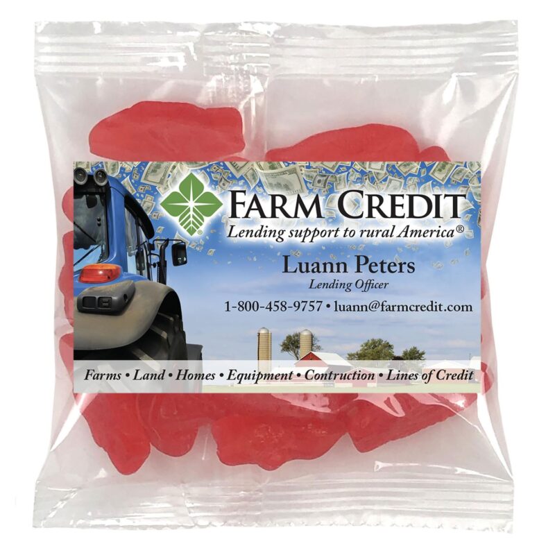 Small Snack Bag with Rectangle Magnet Standard Fill - 6